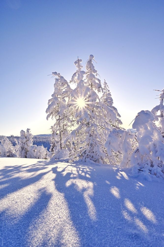 Photograph by Римма Соловьёва