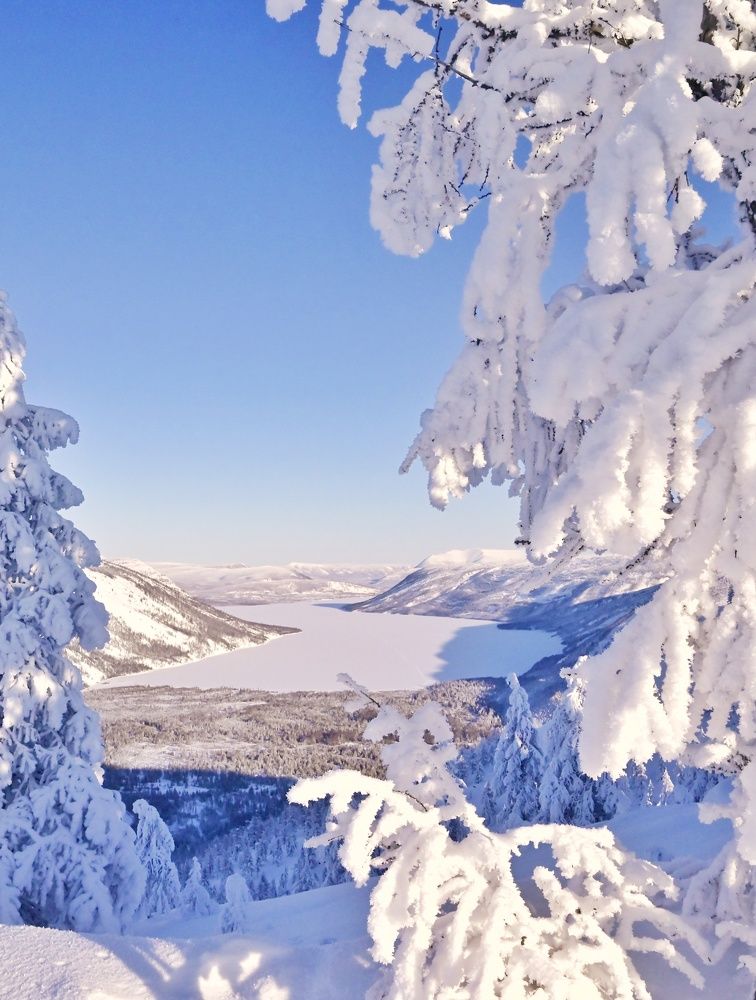 Photograph by Римма Соловьёва