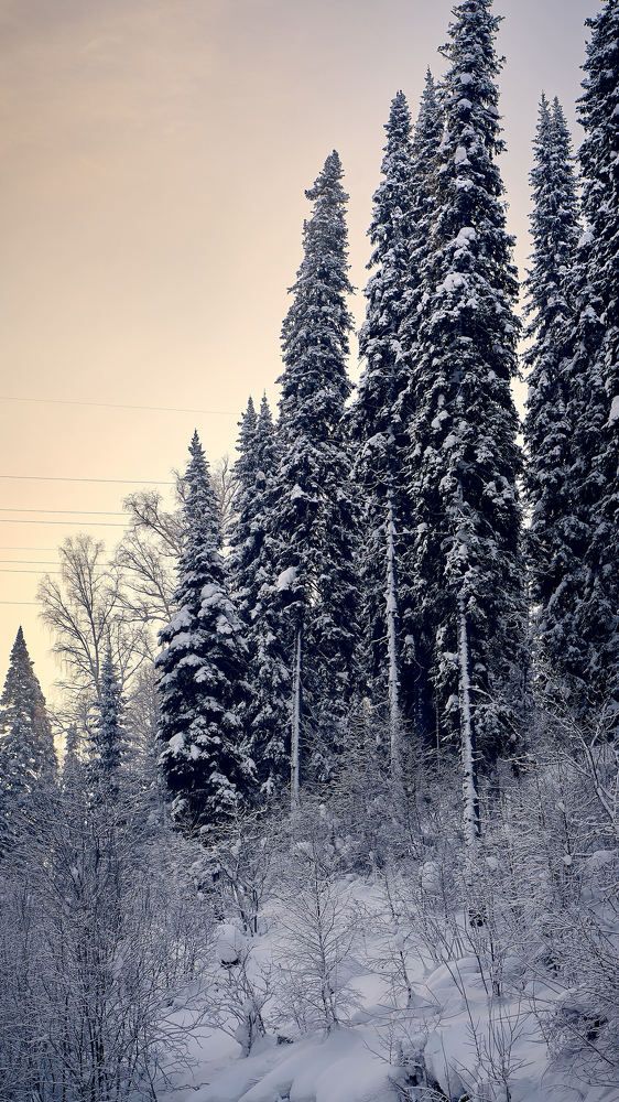 Photograph by Евгений Имамутдинов