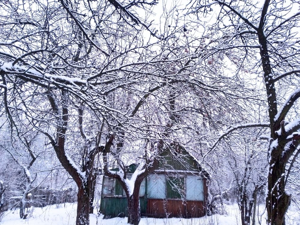 Photograph by Надежда Болтунова