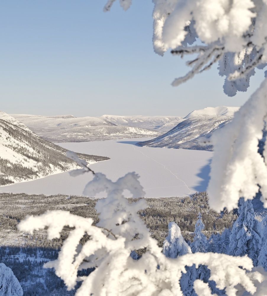 Photograph by Римма Соловьёва