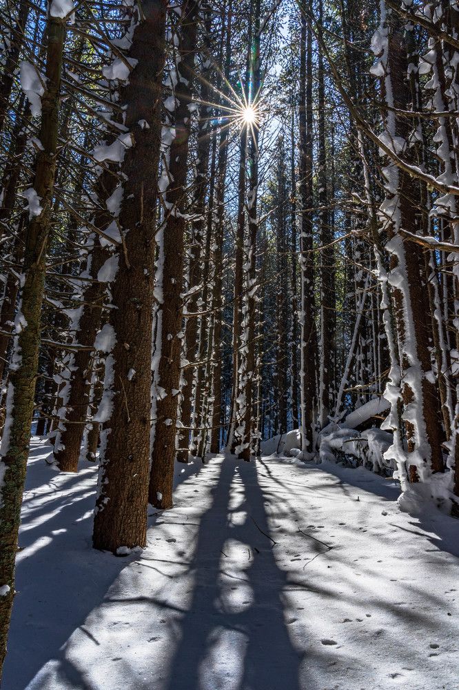 Фотография автора Виктор Демидов