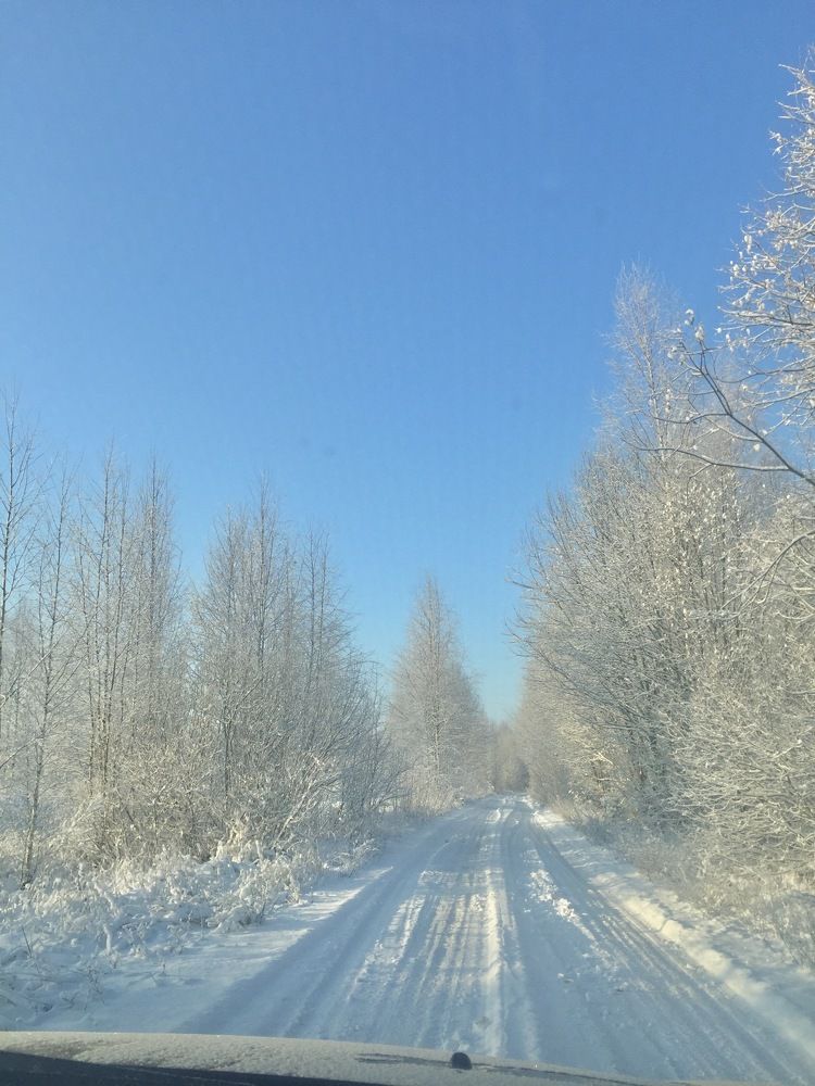 Фотография автора Ольга Трифонова