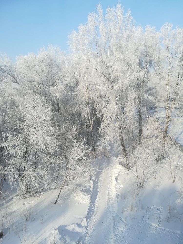 Photograph by Елизавета