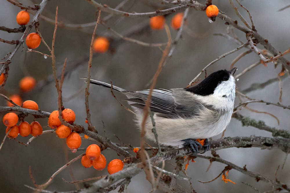 Photograph by Alexey Bogdanov