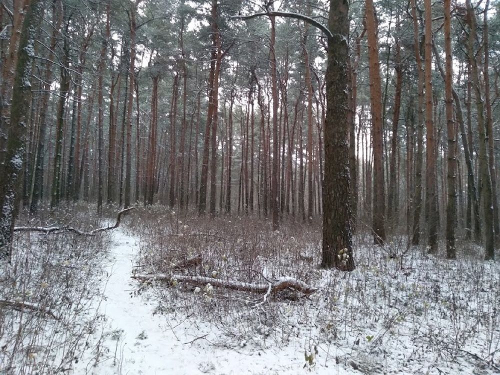 Photograph by Ася Кузьмина