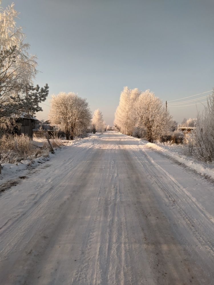 Photograph by Светлана