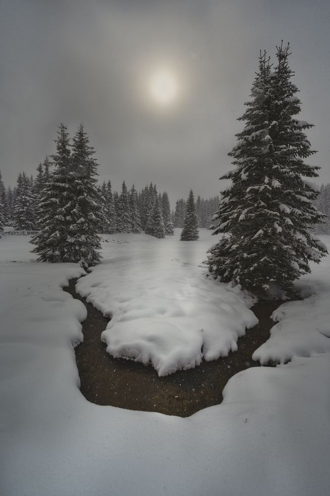 Photograph by Georgi Nunev