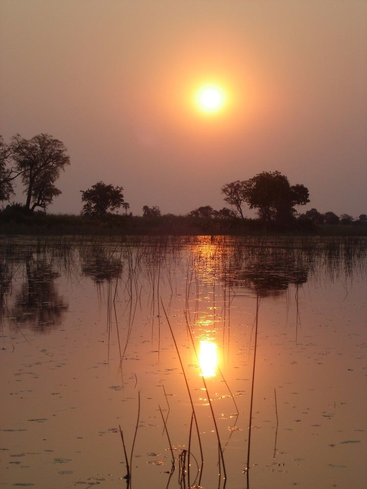 Photograph by Ирина