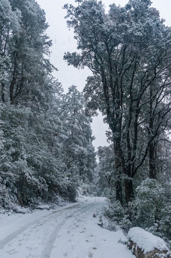 Photograph by ARANYA KAR