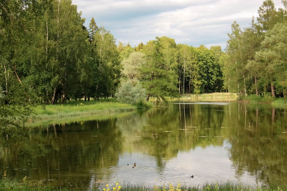 Photograph by Наталья Сапрыкина