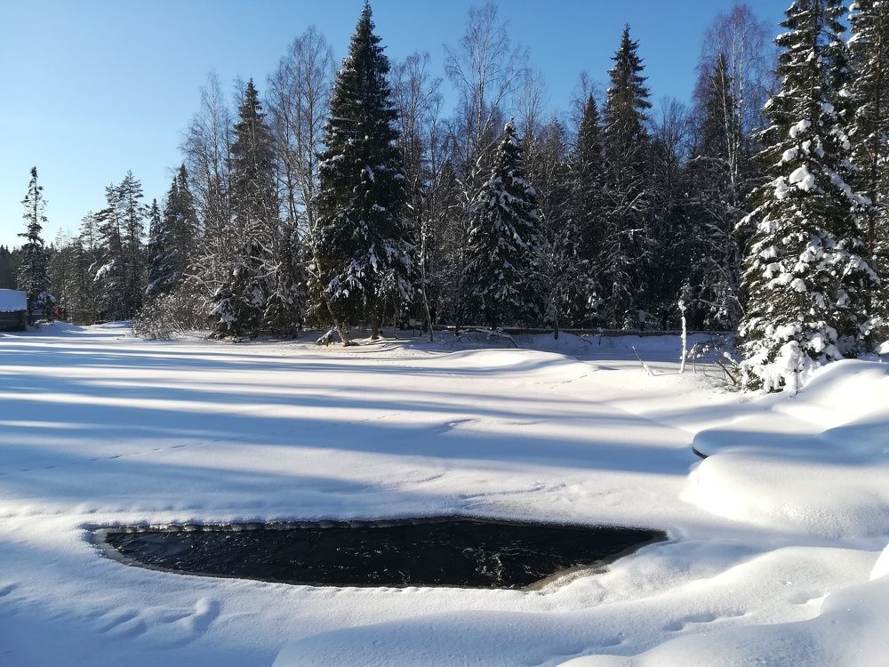 Photograph by Елизавета