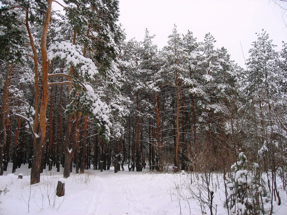 Photograph by Татьяна Иваненкова