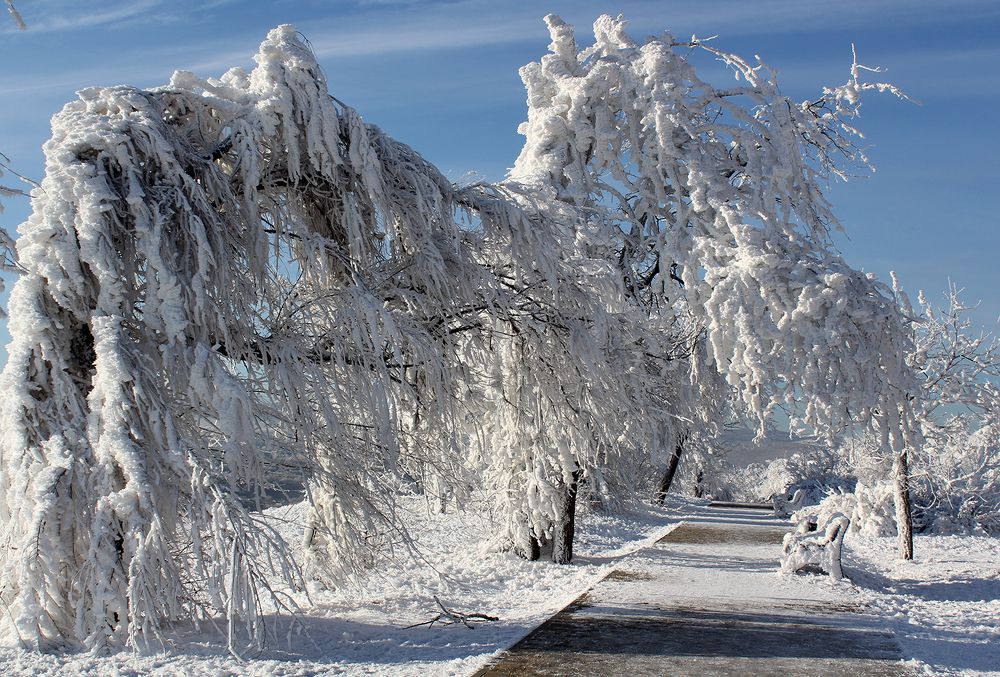 Photograph by Сергей