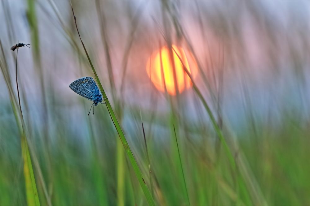 Photograph by Олег Резенов