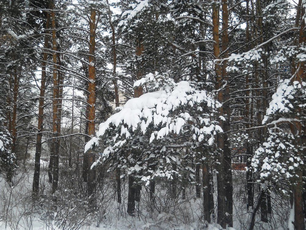Photo #8488078