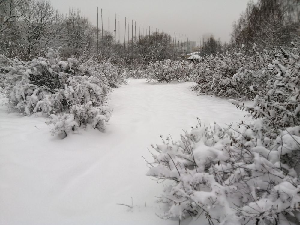 Photograph by Светлана Веселовская