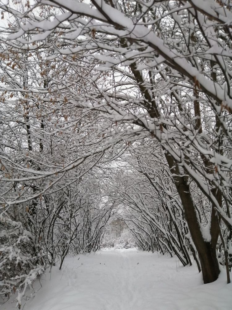 Photograph by Светлана Веселовская