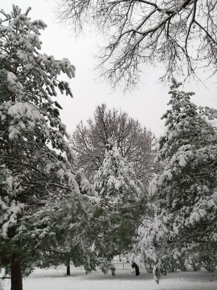 Photograph by Светлана Веселовская