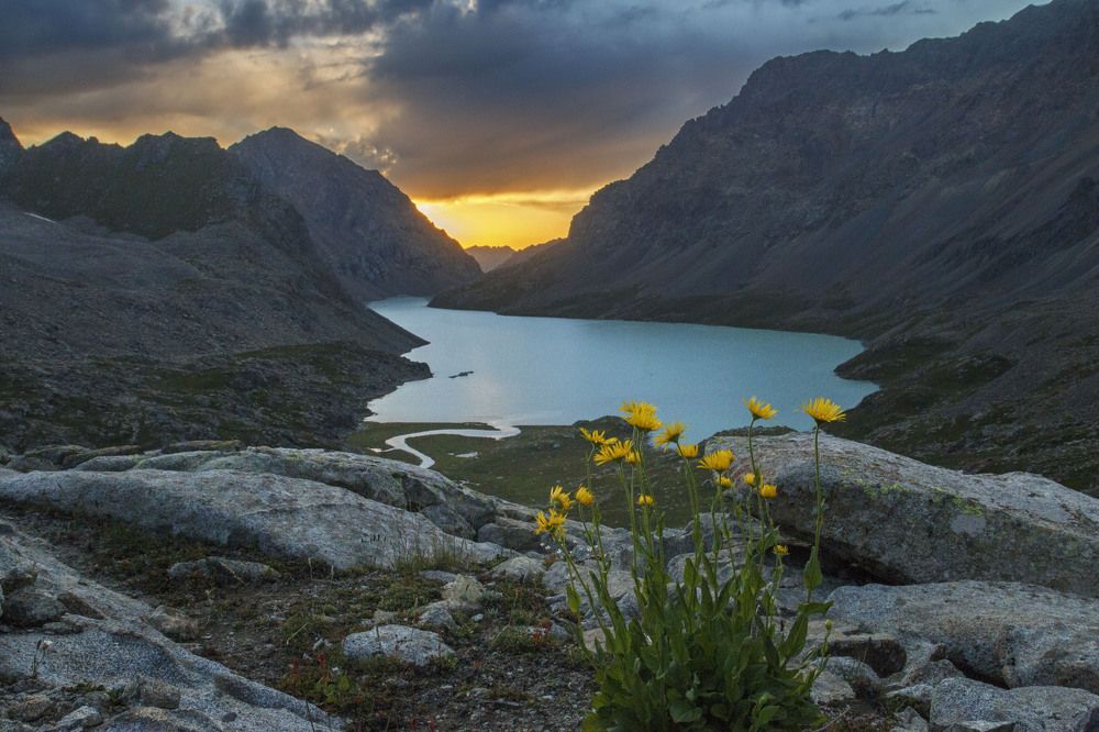 Photograph by Родион