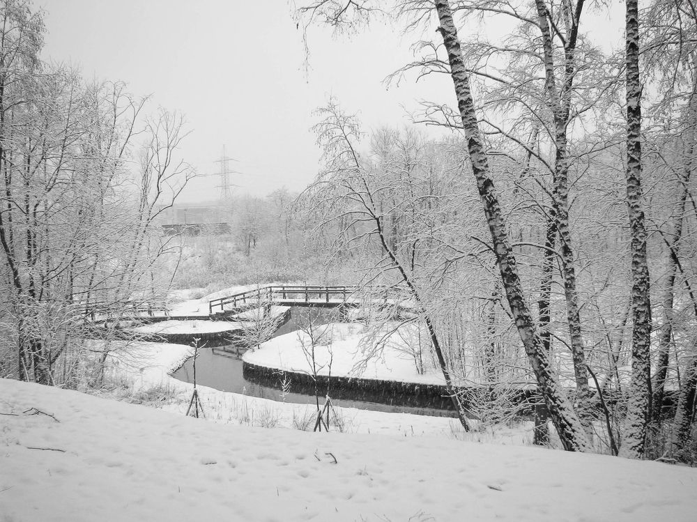 Photograph by Наталья Сапрыкина