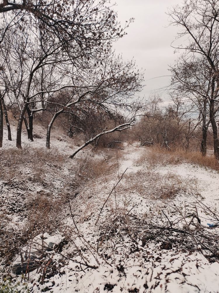 Photograph by Алёна