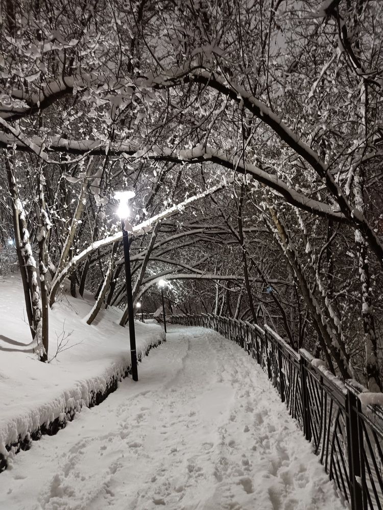 Фотография автора Роман Зотов