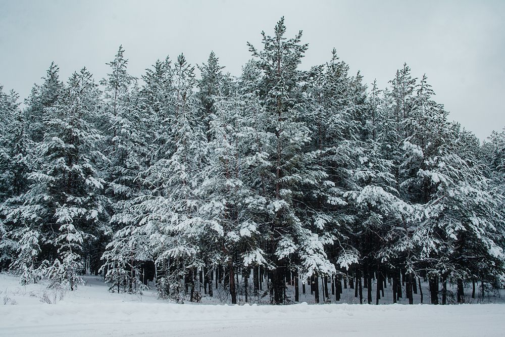 Photograph by Нелли Дзюба