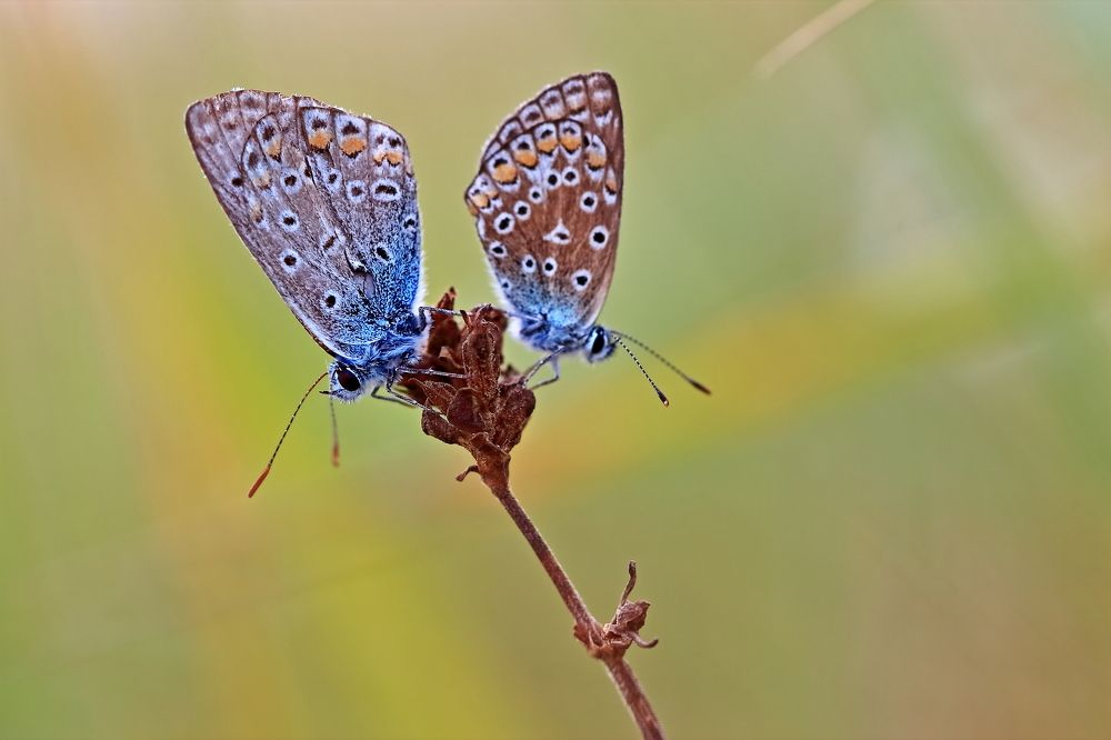 Photograph by Олег Резенов