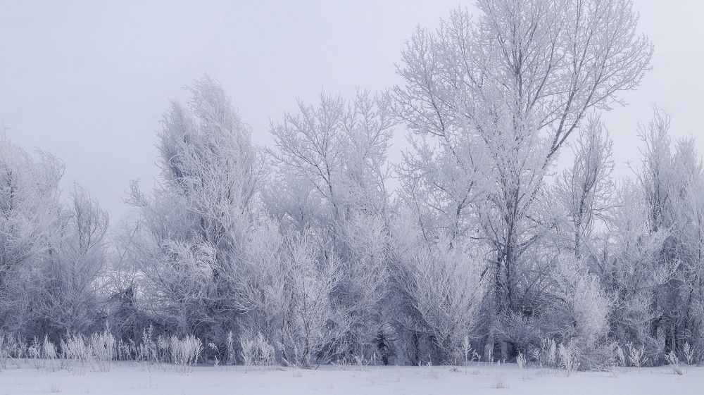 Photograph by Кожиков Данияр