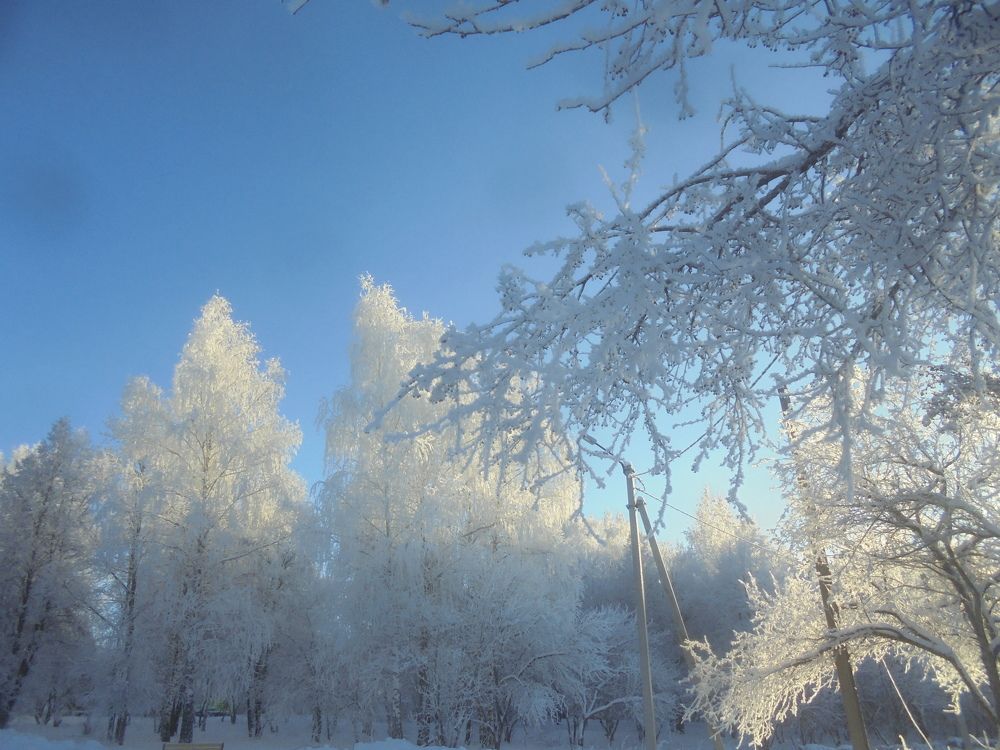 Зима в парке.