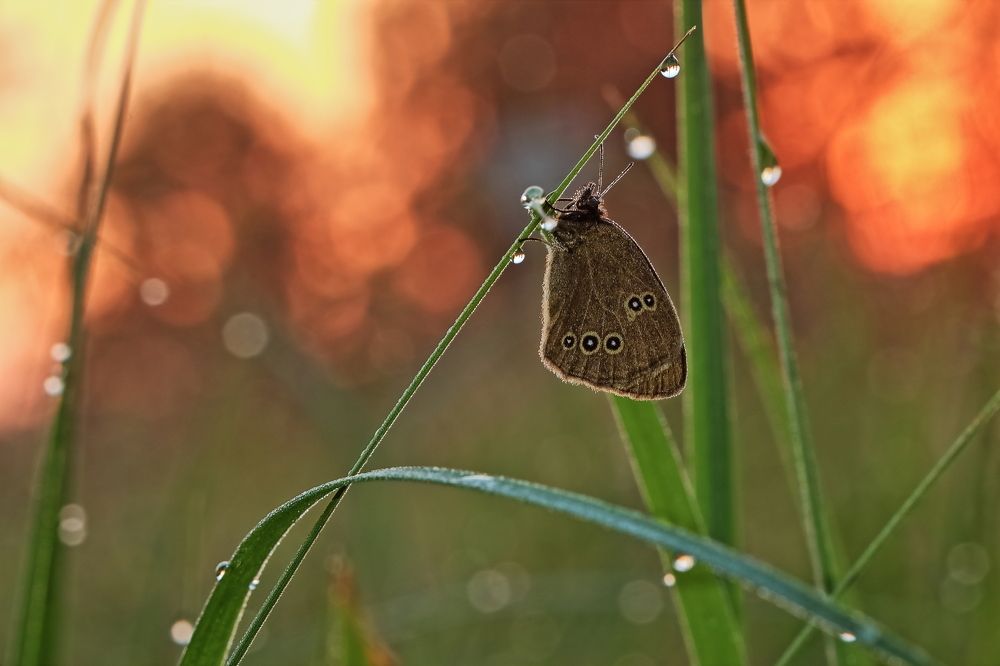 Photograph by Олег Резенов