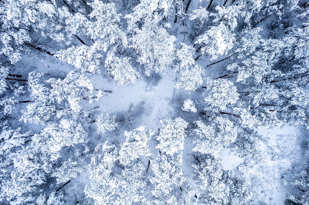 Photograph by Парфентьев Антон