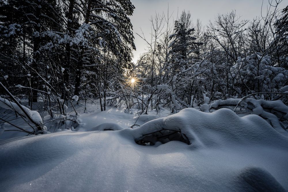 Photograph by Константин Щербаков