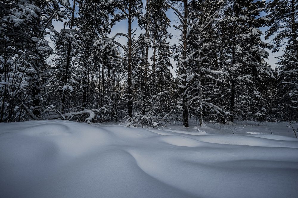 Photograph by Константин Щербаков