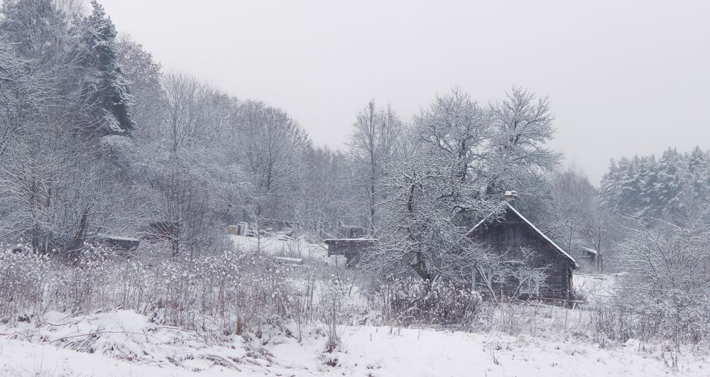 Photograph by Drutel Witold