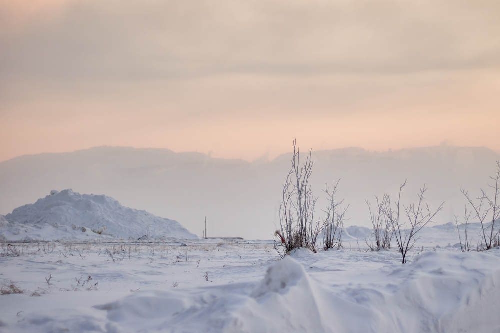 Photograph by Алексей Швецов