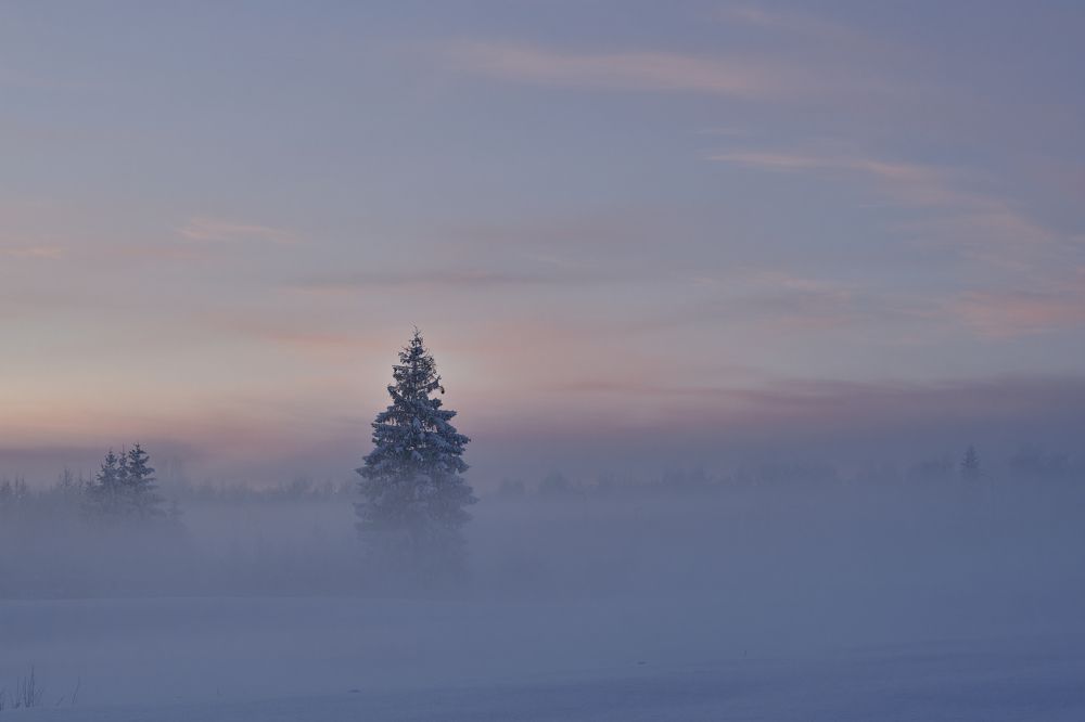 Фотография автора Eimar Kull