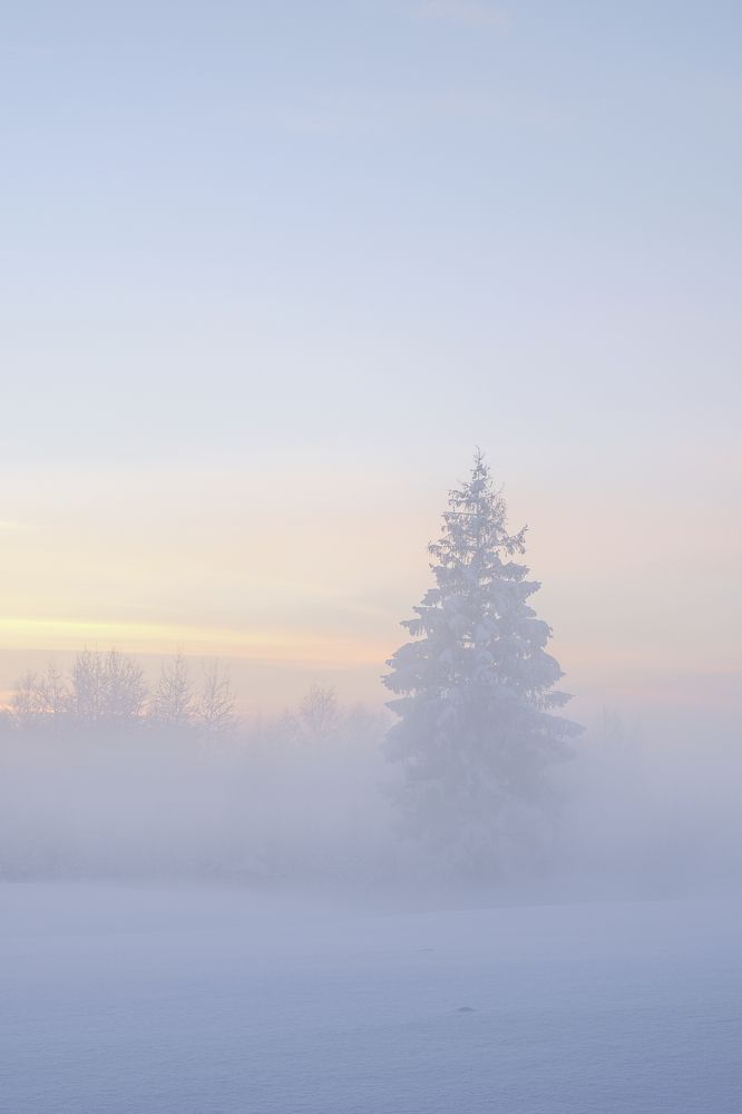 Фотография автора Eimar Kull