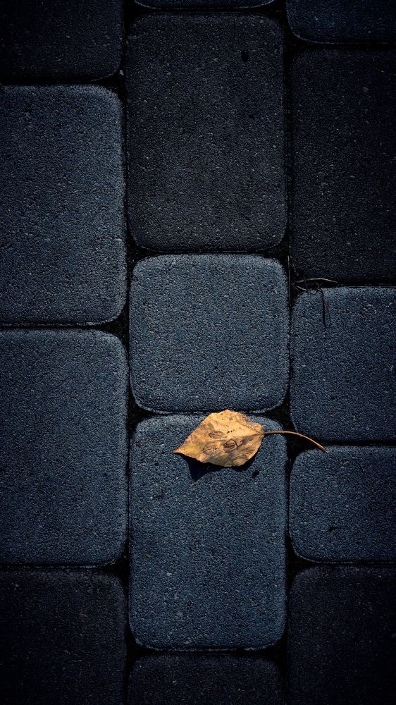 Photograph by Евгений Имамутдинов