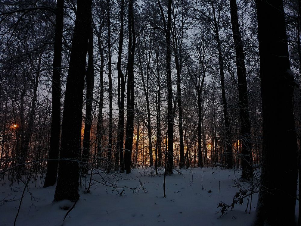 Фотография автора Надежда Лисицына