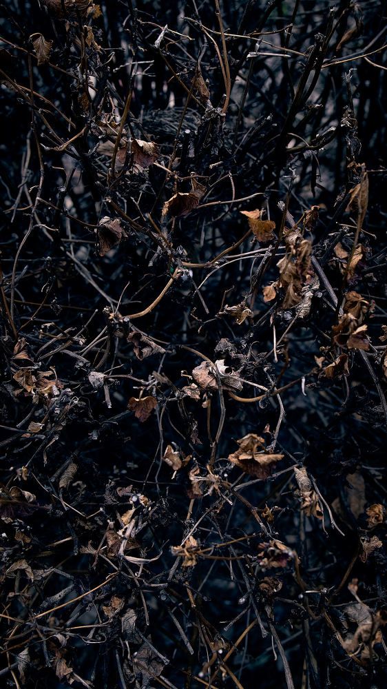 Photograph by Евгений Имамутдинов