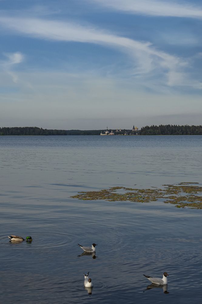 Photograph by Svetlana Karnauh Карнаух