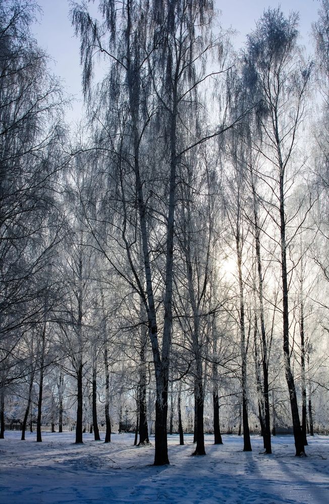 Photograph by Светлана Солдатченкова