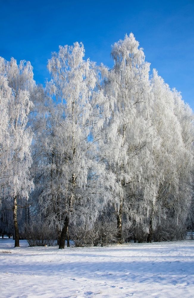 Photograph by Светлана Солдатченкова