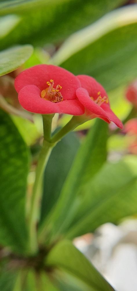 Photograph by Татьяна Мельникова