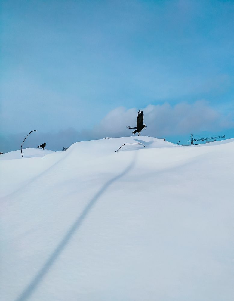 Photograph by Olga Gorokhova
