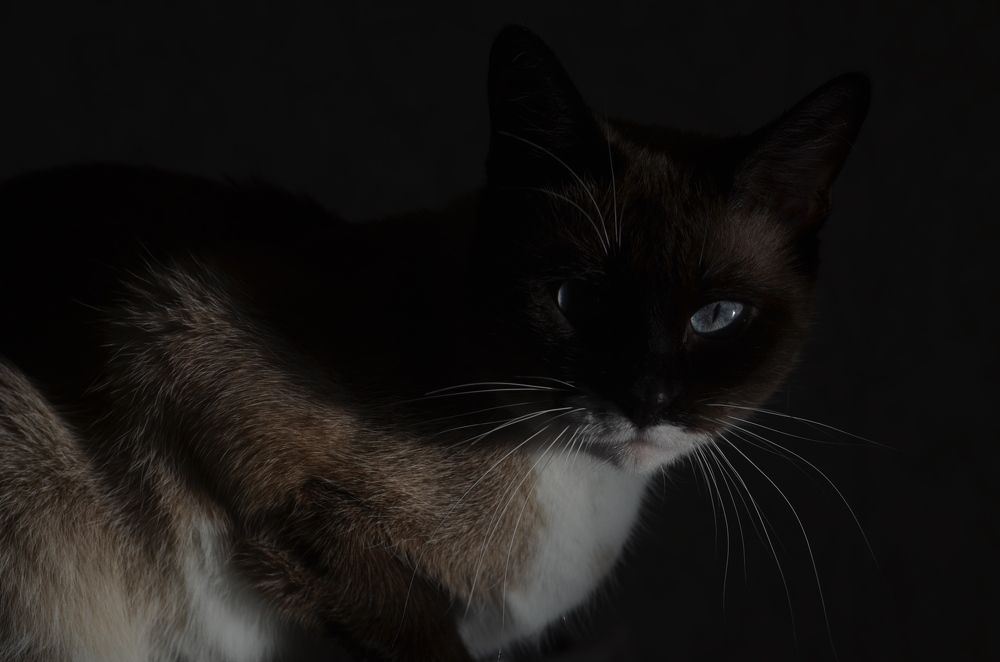 Photograph by Valentina