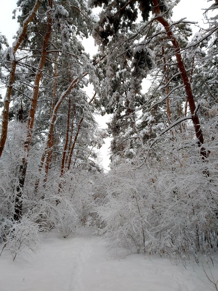 Photograph by Ольга Александрова