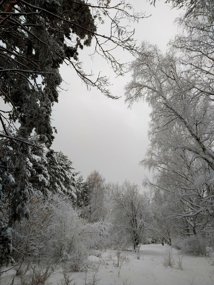 Photograph by Ольга Александрова